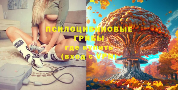 круглые Алексеевка