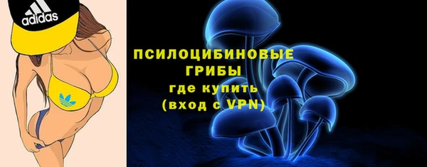 ALPHA PVP Алексин