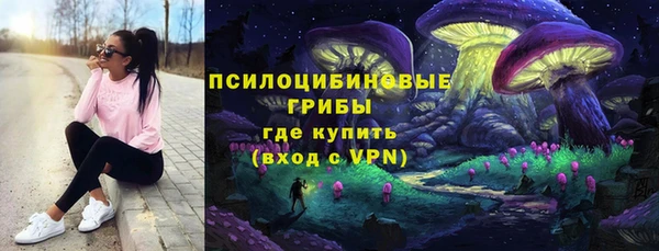 ALPHA PVP Алексин