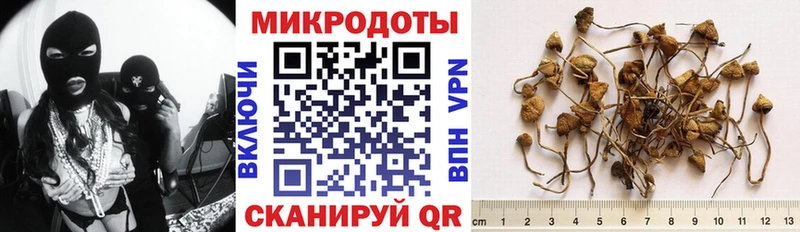 Псилоцибиновые грибы Psilocybine cubensis Микунь