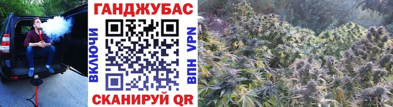 это наркотические препараты  Микунь  Каннабис сатива 